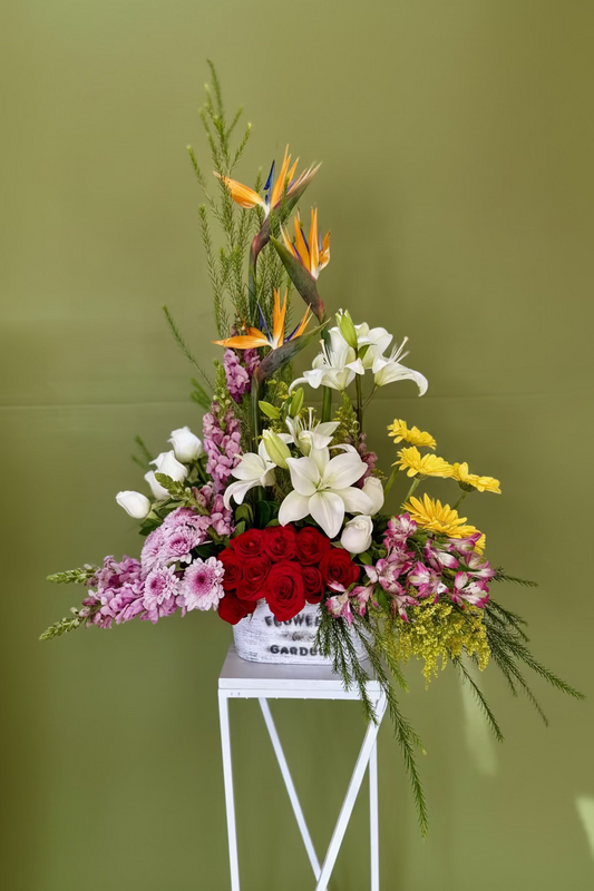 Ave del paraiso