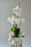 Arreglo de 3 orquídeas