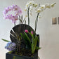 Cofre de orquídeas