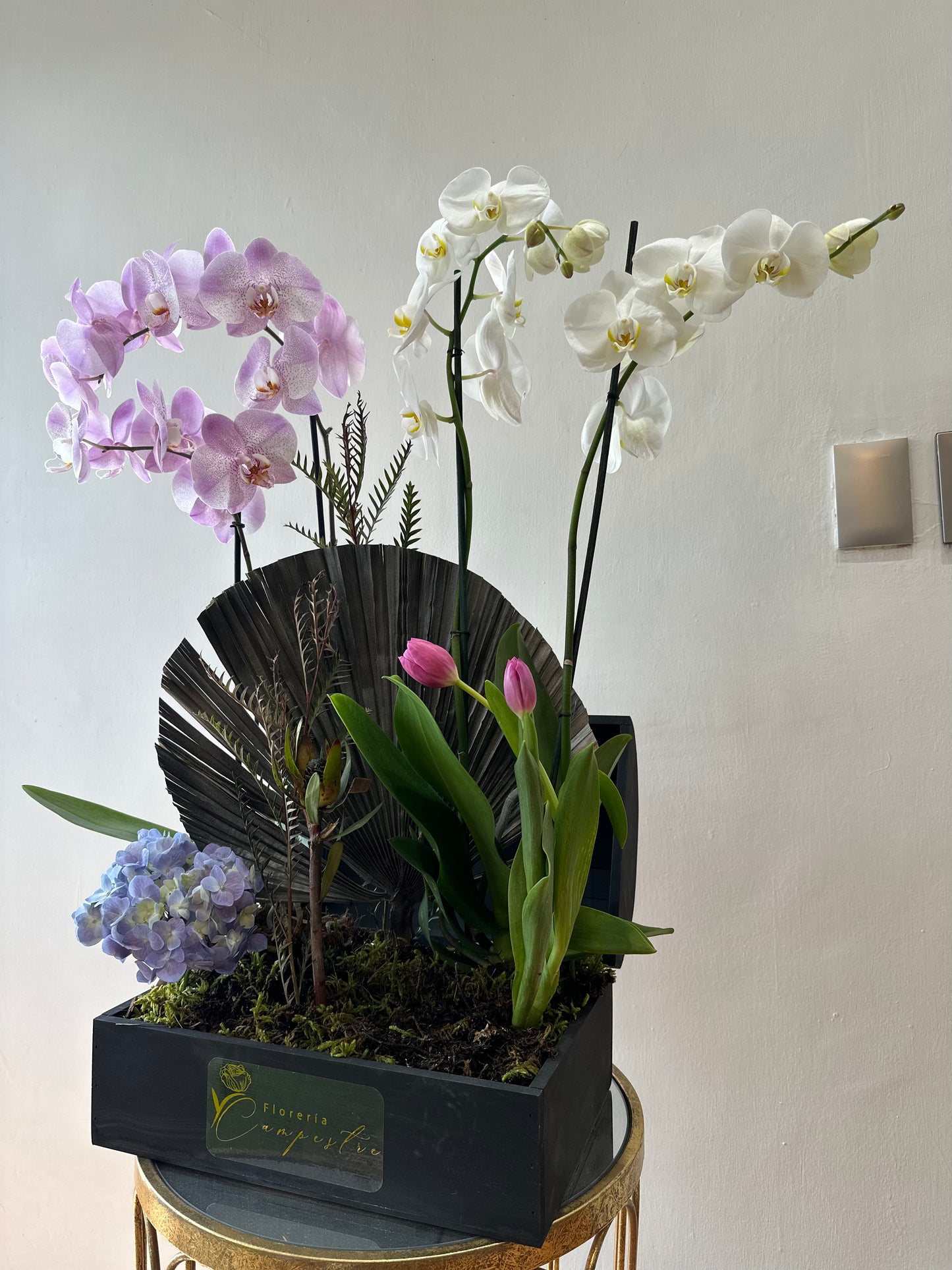 Cofre de orquídeas